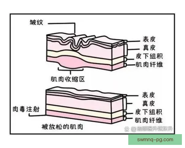 健身盘口深度分析:挖掘肌肉训练和营养调整的最佳策略 健身盘口深度分析:挖掘肌肉训练和营养调整的最佳策略
