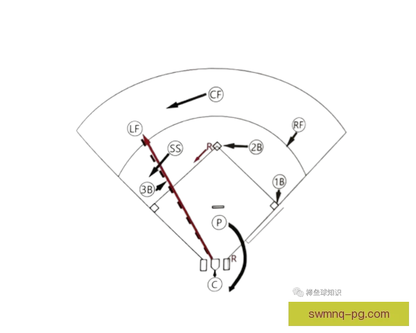 全球棒球联赛各大联赛积分榜排名一览