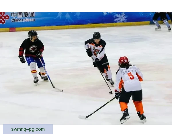 冰球杯赛：冰上激情 热血擂响