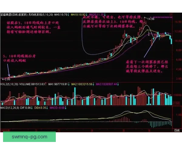 掌握制胜之法，拳拳致胜技巧揭秘