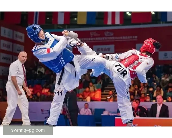 探讨跆拳道排名制度及其影响因素