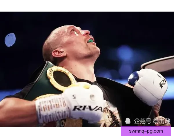 拳击盘口分析：挖掘背后潜藏的投资价值